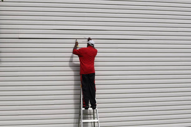 Best Insulated Siding Installation  in Clearwater, FL